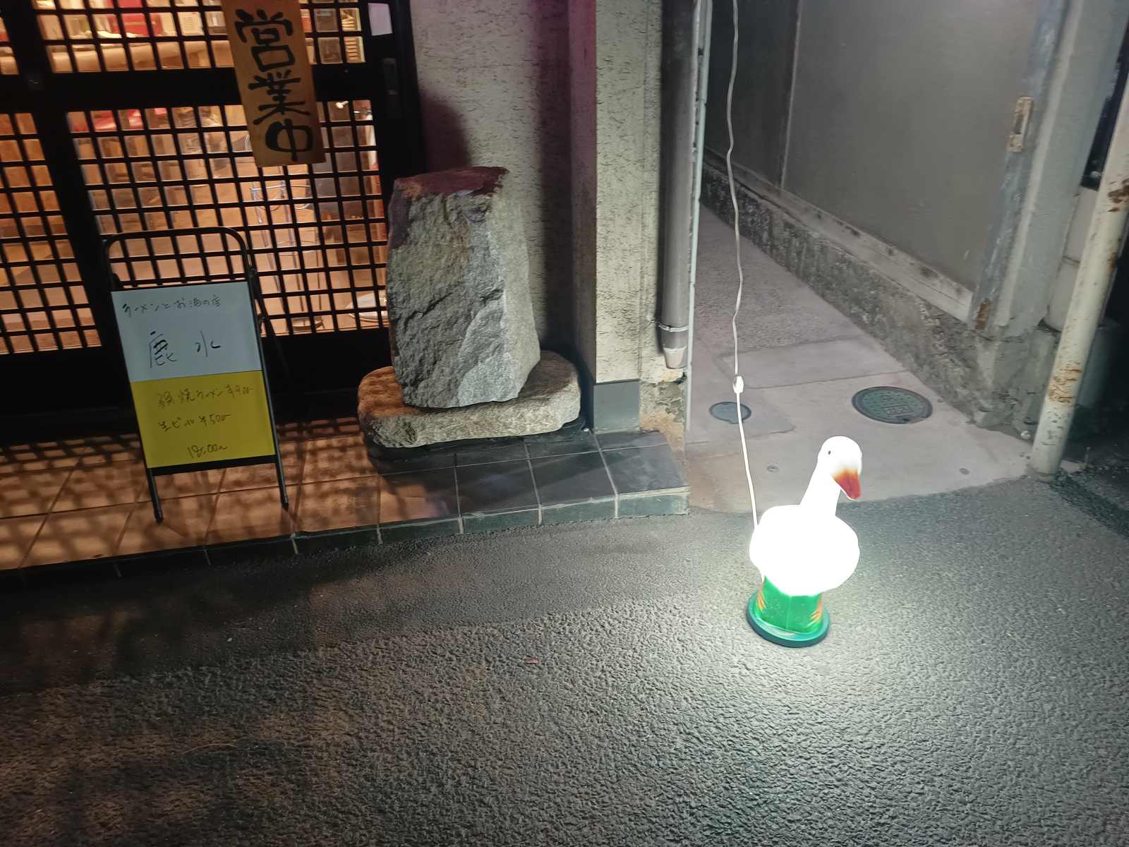 道端に光るアヒルがいます。